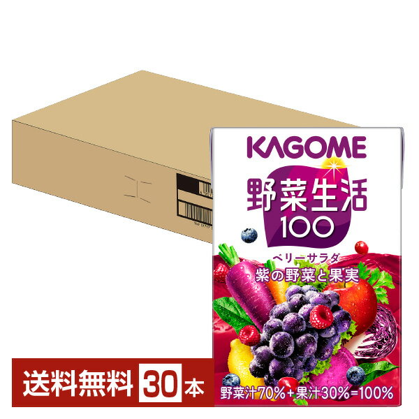 カゴメ 野菜生活 100 ベリーサラダ 100ml 紙パック 30本 1ケース 野菜ジュース