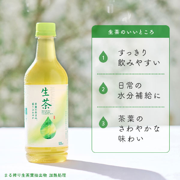 ポイント5倍 キリン 生茶 ラベルレス 2L 2000ml ペットボトル 9本 1ケース【送料無料（一部地域除く）】 お茶 緑茶