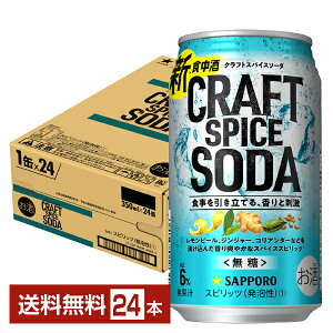 サッポロ クラフトスパイスソーダ 350ml 缶 24本 1ケース【送料無料（一部地域除く）】 チューハイ サッポロビール 無糖