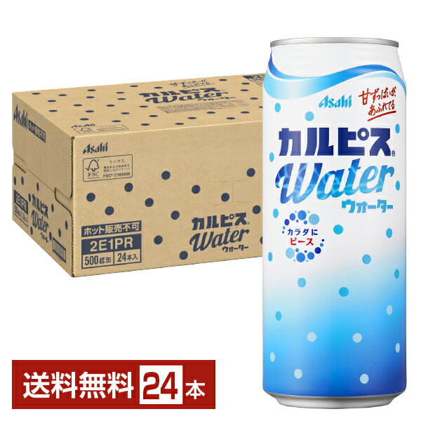 アサヒ カルピスウォーター 500g 缶 24本 1ケース 【送料無料（一部地域除く）】