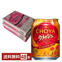 The CHOYA チョーヤ ウメッシュ 250ml 缶 24本×2ケース（48本）【送料無料（一部地域除く）】 チューハイ