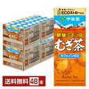 伊藤園 健康ミネラルむぎ茶 250ml 紙パック 24本×2ケース(48本) 【送料無料(一部地域除く)】 麦茶