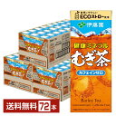 伊藤園 健康ミネラルむぎ茶 250ml 紙パック 24本×3ケース(72本) 【送料無料(一部地域除く)】 麦茶