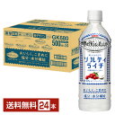 ポイント3倍 熱中症対策飲料 キリン 世界のKitchenから ソルティライチ 500ml ペットボトル 24本 1ケース【送料無料（一部地域除く）】 キリン 世界のキッチンから