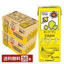 キッコーマン 豆乳飲料 バナナ 200ml 紙パック 18本×2ケース（36本）【送料無料（一部地域除く）】