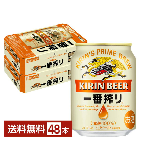 キリン 一番搾り 生ビール 250ml 缶 24本×2ケース