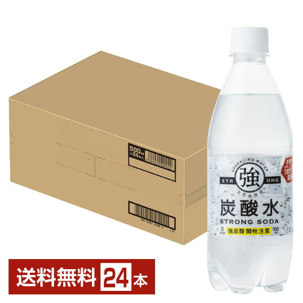 友桝飲料 強炭酸水 500ml ペットボトル 24本 1ケース 【送料無料（一部地域除く）】