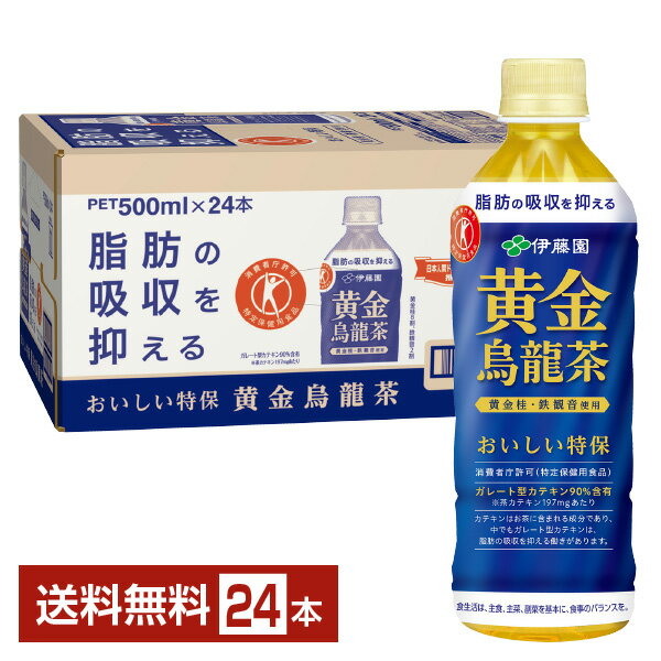 特定保健用食品 伊藤園 黄金烏龍茶 500ml ペットボトル 24本 1ケース トクホ 【送料無料（一部地域除く）】ウーロン茶