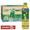 特定保健用食品 伊藤園 おーいお茶 カテキン緑茶 500ml ペットボトル 24本 1ケース トクホ 【送料無料(一部地域除く)】 お~いお茶
