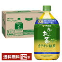 特定保健用食品 伊藤園 おーいお茶 カテキン緑茶 1L 1000ml ペットボトル 12本 1ケース トクホ 【送料無料(一部地域除く)】 お~いお茶