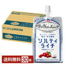 【05/28発売 予約受付中】熱中症対策飲料 キリン 世界のKitchenから ソルティライチ 300g パウチ 30個 1ケース【送料無料（一部地域除く）】 キリン 世界のキッチンから