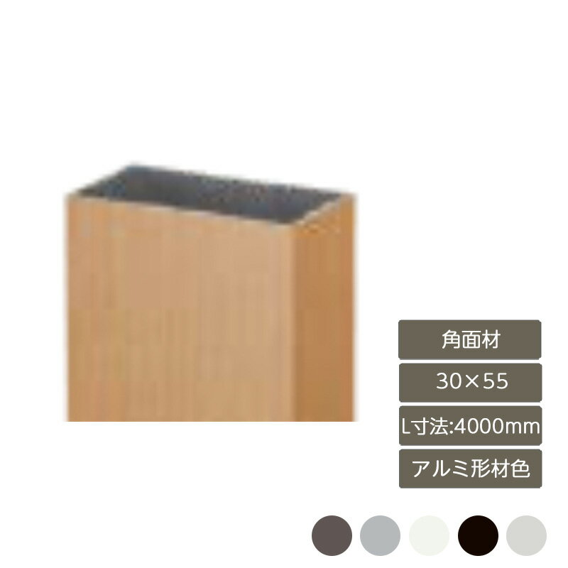   å  ǥ DIY ꥯ LIXILڥǥʡѡ ̺ 3055 Lˡ4000mm ߷࿧