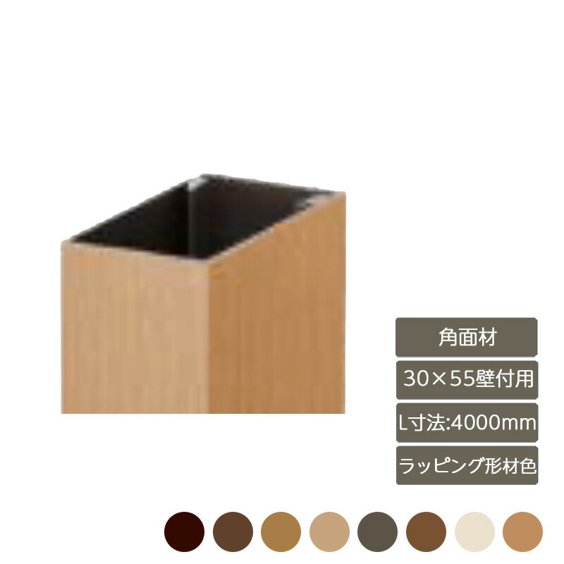   å  ǥ DIY ꥯ LIXILڥǥʡѡ ̺ 3055 Lˡ4000mm...