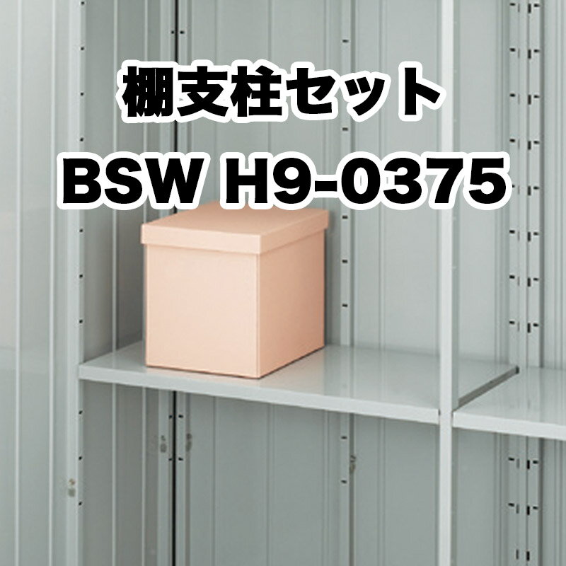 ʪ Ǽ  ɥǼ Ǽ  ǥ ʥʪ֡ê쥻å ά8 S BSW H9-0375 ե륿 FS ץ