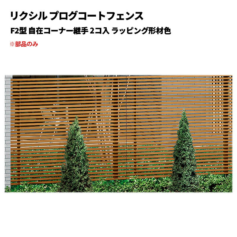 ꥯ ץȥե F2 ߥʡѼ 2 åԥ󥰷࿧