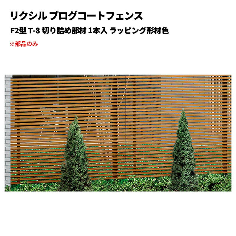 ꥯ ץȥե F2 T-8 ڤͤ 1 åԥ󥰷࿧