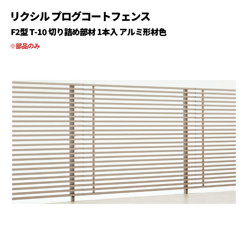 ꥯ ץȥե F2 T-10 ڤͤ 1 ߷࿧