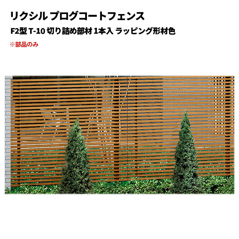 ꥯ ץȥե F2 T-10 ڤͤ 1 åԥ󥰷࿧