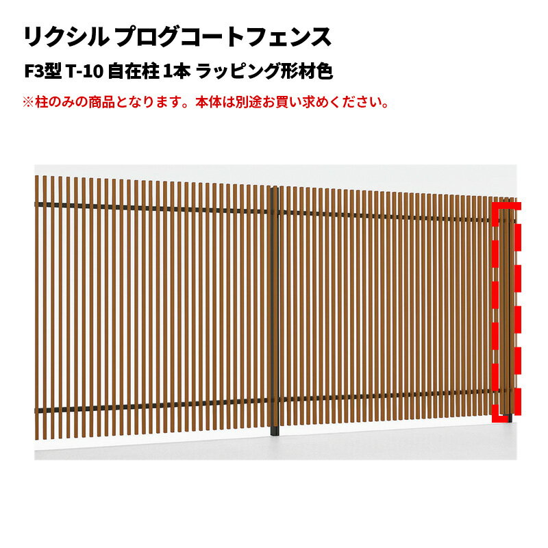 ꥯ ץȥե F3 T-10  1 åԥ󥰷࿧