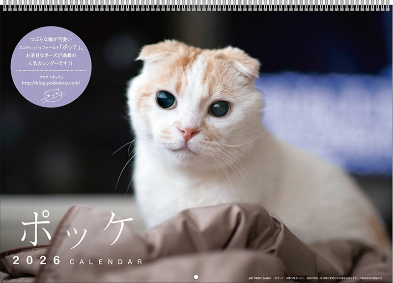 【送料込み】【取寄商品】 2026年カレンダーポッケ26CL-0392[9/20発売]