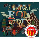 【エントリーでポイント10倍】 CD / daisuke katayama / THE MIDNIGHT BONFIRES (初回生産限定盤) / ESCL-5493