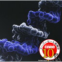 【エントリーでポイント10倍】 CD / MONKEY MAJIK / DNA (CD+Blu-ray) / AVCH-78050