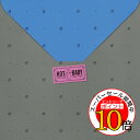【エントリーでポイント10倍】 CD / 尾崎亜美 / ホット ベイビー (HQCD) (ライナーノーツ/紙ジャケット) / PCCA-50168