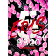 ڿʡ̤ˡۡBDBzBz SHOWCASE2020-5 eras 8820-Day4(Blu-ray Disc) [BMXV-5043]