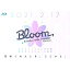 ڼʡBD / hololive IDOL PROJECT / hololive IDOL PROJECT 1st Live.Bloom,(Blu-ray) / HOXB-10003