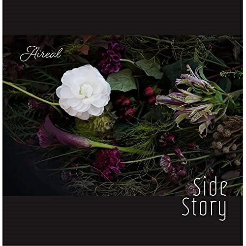 【取寄商品】 CD / エアリアル / Side Story