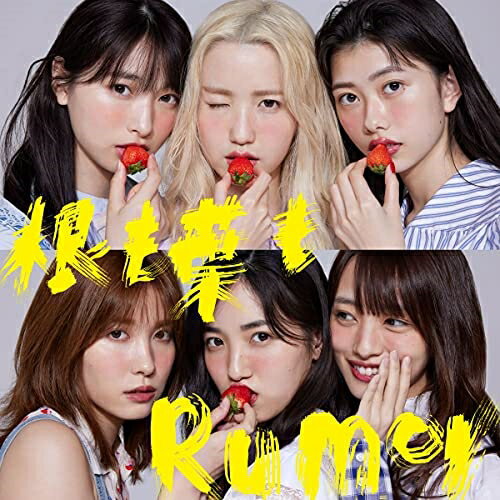 CD / AKB48 / 根も葉もRumor (CD DVD) (初回限定盤/Type B) / KIZM-90699