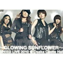 DVD / SPEED / ～GLOWING SUNFLOWER～ SPEED LIVE 2010＠大阪城ホール / AVBD-16219