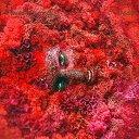 【取寄商品】CD / JASSS / A WORLD OF SERVICE / OTLCD-2595