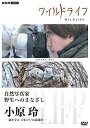 【取寄商品】DVD / ドキュメンタリー / ワイルドライフ 自然写真家 野生へのまなざし 小原玲 -命を守る かわいいは最強だ- / NSDS-25618