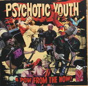 【取寄商品】CD / PSYCHOTIC YOUTH / A POW FROM THE NOW! (紙ジャケット/解説付) / WS-236