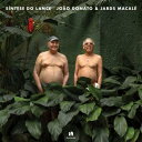 【取寄商品】CD / ジョアン・ドナート&ジャルズ・マカレー / シンテジ・ド・ランシ (解説付) (初CD化) / THCD-603