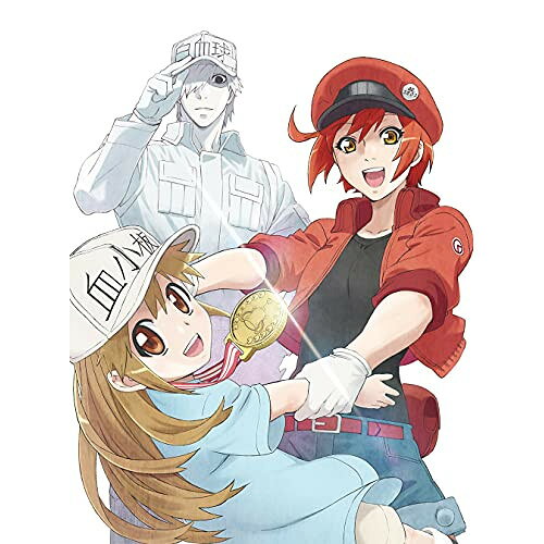 BD / TVアニメ / はたらく細胞!! Vol.1(Blu-ray) (Blu-ray+CD) (完全生産限定版) /...