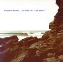 【取寄商品】CD / Polygon Window / Surfing On Sine Wave(完全版) (解説付/紙ジャケット) / BRC-645