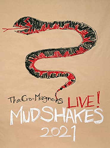 DVD / ザ・クロマニヨンズ / ザ・クロマニヨンズ ライブ! MUD SHAKES 2021 (初回生産限定盤) / BVBL-155