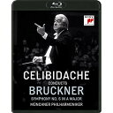 BD / セルジュ・チェリビダッケ / ブルックナー:交響曲第6番(1991年ミュンヘン・ライヴ)(Blu-ray) / SIXC-45