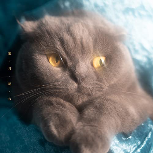 【取寄商品】CD / 猫戦 / 蜜・月・紀・行 (歌詞カード付/紙ジャケット) / NCS-10267