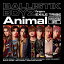 CD / BALLISTIK BOYZ from EXILE TRIBE / Animal