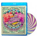 BD / ニック・メイスンズ・ソーサーフル・オブ・シークレッツ / ライヴ・アット・ザ・ラウンドハウス(Blu-ray) (解説対訳付/ライナーノーツ) (完全...