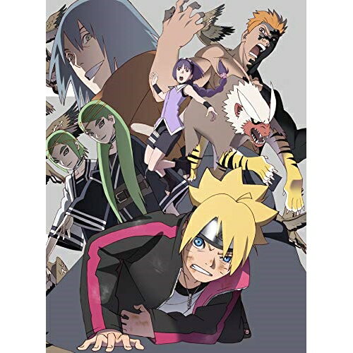 【エントリーでポイント5倍】 DVD / TVアニメ / BORUTO-ボルト- NARUTO NEXT GENERATIONS DVD-BOX6(親子の日編/呪印感染編/湯煙忍法帖編) (完全生産限定版) / ANZB-14524
