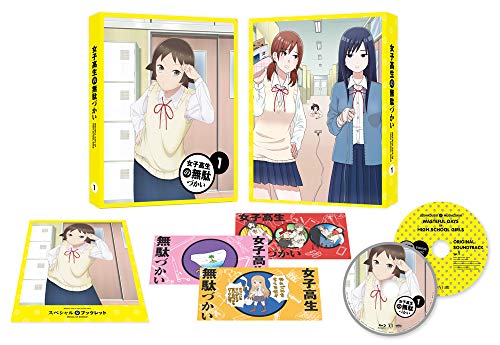 女子高生の無駄づかい Vol.1TVアニメビーノ、赤崎千夏、戸松遥、豊崎愛生、安田祥子、古川英樹、番由紀子、菊谷知樹　発売日 : 2019年9月25日　種別 : DVD　JAN : 4935228184439　商品番号 : ZMBZ-13461