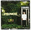 CD / RIDDIM HUNTER / PROMISE (楸㥱å) / PCD-4625