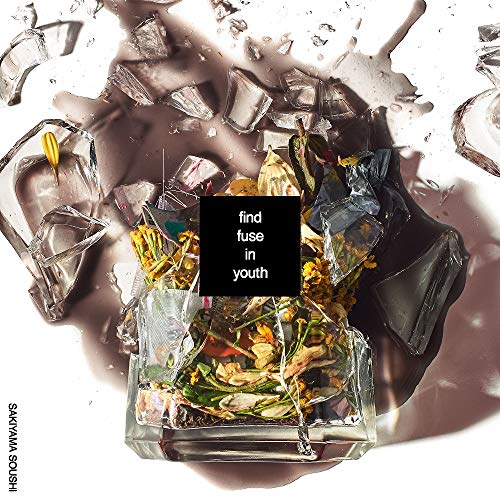 �ڥ���ȥ꡼�ǥݥ����10�ܡ� CD / �껳��� / find fuse in youth (CD+DVD) (�楸�㥱�å�) (�������������) / SRCL-11653