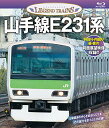 【取寄商品】BD / 鉄道 / 山手線E231系(Blu-ray) / VKEBD-104