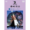 DVD / 趣味教養 / 藤城清治 デジタルギャラリー 光と影のシンフォニー / VPBV-14930
