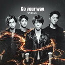 CD / CNBLUE / Go your way (ʏ) / WPCL-11933